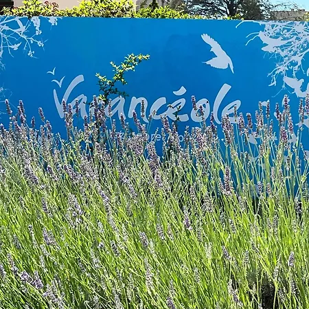 De Charme Climatisé Avec Piscine à La Pour 4 Personnes * La Londe-les-Maures